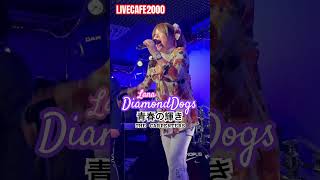 【 LIVECafe2000】毎月出演‼︎ #ライブカフェ2000 #ダイヤモンドドッグス #オールディーズ #カーペンターズ #shorts