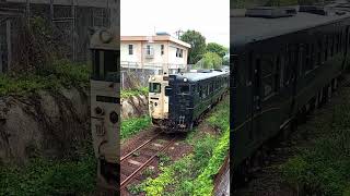 【指宿のたまて箱 】下平川踏切を通過します。　#shorts #JR #列車