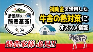 牛舎の暑さ対策に断熱塗料！ 補助金を活用した牛舎の環境改善例