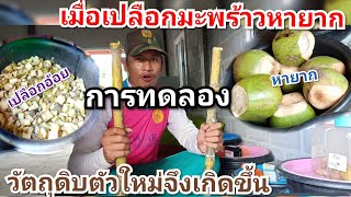 เมื่อเปลือกมะพร้าวหายากจึงทดลองวัตถุดิบใหม่ในการเลี้ยงด้วง