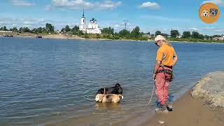 Едем в Сольвычегодск...