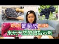 ［酸與鹼］天然酸鹼指示劑！跟著小孩ㄧ起觀察吧！