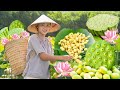 Harvesting Lotus Seed - A Dish From Vietnam National Flower | Tieu Van Harvest