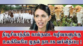 உலகிலேயே முதன்முதலாக நியூசிலாந்து நாட்டில் வீட்டு விலங்குகளின்.. கழிவுகளுக்கு விதிக்கப்பட்ட வரி