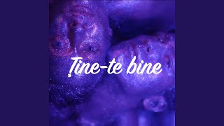 Tine-te Bine (Official Music)