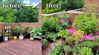 INCREDIBLE Container Garden Transformation✨🪴 Reviewing The Last 4 Years Of My Garden!