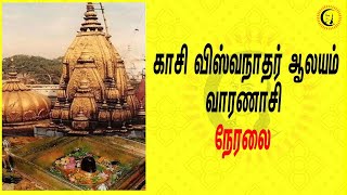 நேரலை : காசி விஸ்வநாதர் ஆலயம் - வாரணாசி