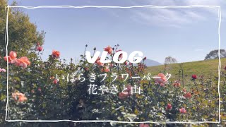 【VLOG】いばらきフラワーパーク 花やさと山｜秋のバラ園🥀グランピング🏕イルミネーション🎄.*