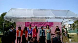 上を向いて歩こう SAVE THE PEARL 2011 チャリティウォーク 20110409 #49walk