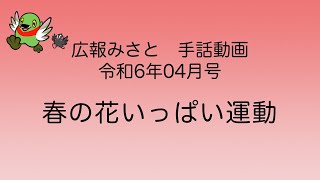 【広報みさと手話動画 令和6年4月号】春の花いっぱい運動