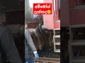 කෝච්චි ඇන්ජිම මාරු කරා දැක්කද 😲😮‍💨 shorts travel srilanka train channel