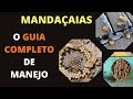 MANDAÇAIA - TUDO SOBRE MANEJOS E IDENTIFICAÇÃO