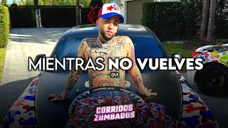 Ovi - Mientras No Vuelves (2023)