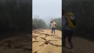 20210307 【步步高陞】 8：30美孚荔枝角體育館，長坑村，金山10:20，城門水塘11:20～11:45，針山13:00，草山15:00，交义石16:00，交义石脊，火炭18:11