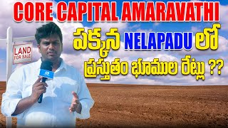 Amaravathi pooling plots for sale | NELAPADU PLOLING PLOTS | AMARAVATHI REALESTATE NOW 2025