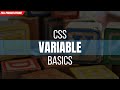 CSS Variables - What Are They & How to Use Them