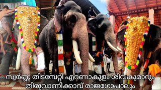 സ്വർണ്ണ തിടമ്പേറ്റി എറണാകുളം ശിവകുമാറും തിരുവാണിക്കാവ് രാജഗോപാലും മള്ളിയൂർ മഹാഗണപതി ക്ഷേത്രം 2023