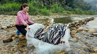 Ana used a wooden slide to catch fish. Unexpectedly caught many big fish in the stream.|Ana fishing