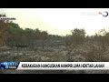 Kebakaran Hutan di Riau Hanguskan 5 Hektar Lahan