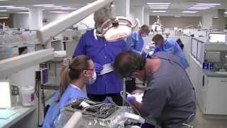 Golden Dental Solutions - Live-Patient Hands-On Extraction Dental CE Course