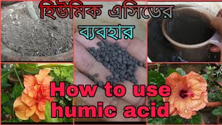 How to use humic acid // হিউমিক এ্যাসিডের ব্যবহার //