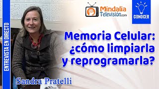 Memoria Celular: ¿cómo limpiarla y reprogramarla? Entrevista a Sandra Pratelli