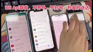 whatsapp一键群发，不封号！！！日发10W+