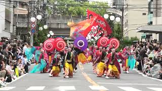 2024.ふなばし市民まつり(本町会場3)チーム利ゑ蔵