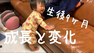 【生後9ヶ月】成長と変化。9 months old growth and change