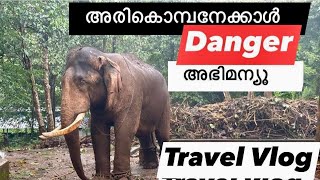 Elephant 🐘 Training Center | Kodanad | Unique Eco Travel Place | Views Of Jo |Travel Vlogger|Video