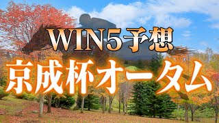 9月8日・WIN5予想！白井特別・浜松S・セプテンバーS・セントウルS・京成杯オータムハンデ