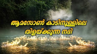 ആമസോൺ കാടിനുള്ളിലെ തിളയ്ക്കുന്ന നദി | Secret of Amazon Forest Boiling River | Shanay Timpishka