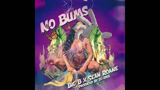 Sean Roane x Big B - No Bums (prod. by Dj Idea)