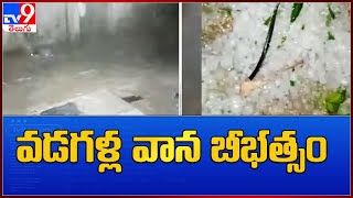 వడగళ్ల వాన బీభత్సం : Warangal - TV9