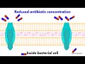 Mechanisms of Antimicrobial Resistance/How microorganisms develop antimicrobial resistance