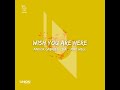 Andor Gabriel , Bai , Max Well -  Wish You Are Here (Extended Mix)