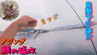 【明石海峡】ショアジギとショアタイラバ調査。淡路島アジング！！