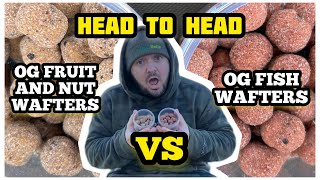 Head To Head Ep.1 / Parker Baits OG FRUIT & NUT v OG FISH! Wafter Edition!