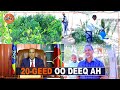 Madaxwaynaha Dawlad Deegaanka Soomaalida Oo 20-geed Ugu Deeqay Magaalada Berbera.