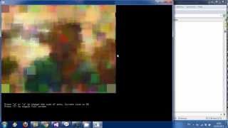 VideoAnts [openframeworks]