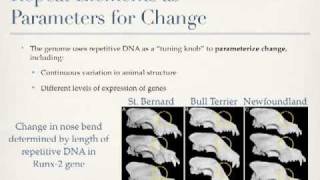 Are Mutations Random?
