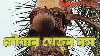 মৌশা গ্রামের খেজুর রস | মৌশা | মহম্মদপুর | মাগুরা