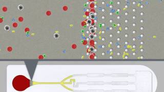 Lab on a chip.wmv