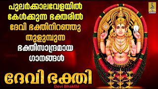 ദേവി ഭക്തി | Devi Devotional Songs Malayalam | Hindu Devotional Songs | Devi Bhakthi #devotional