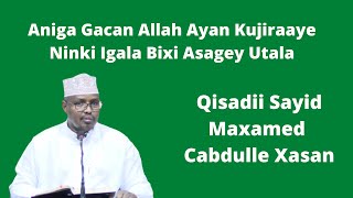 Aniga Gacan Allah Ayan Kujiraaye Ninki Igala Bixi Asagey Utala Sh Xassan