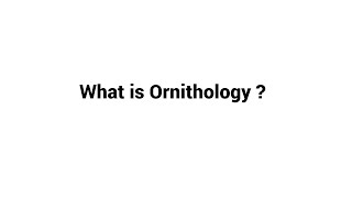 What is Ornithology ?