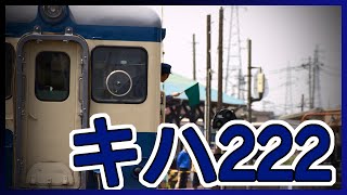 ひたちなか海浜鉄道 キハ222 乗車体験 [HD]