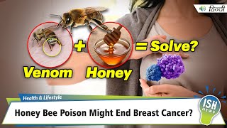 Honey Bee Poison Might End Breast Cancer? | ISH News
