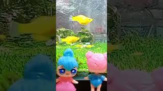 loli play in aquarium with friends LOL suprise 😍