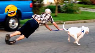 Best Funny Animal Videos 2022 😺😁 - Funniest And Cute Dogs And Cats Videos 🦆🐹